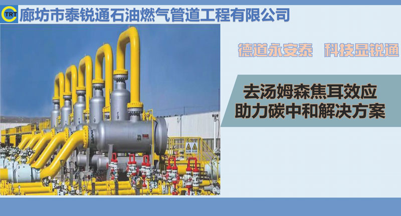91视频H污污-去汤姆森焦耳(新)250327_页面_01.jpg