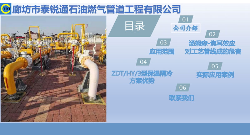 91视频H污污-去汤姆森焦耳(新)250327_页面_02.jpg